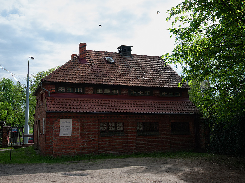 wrzeszcz_sp28_leczkowa_4
